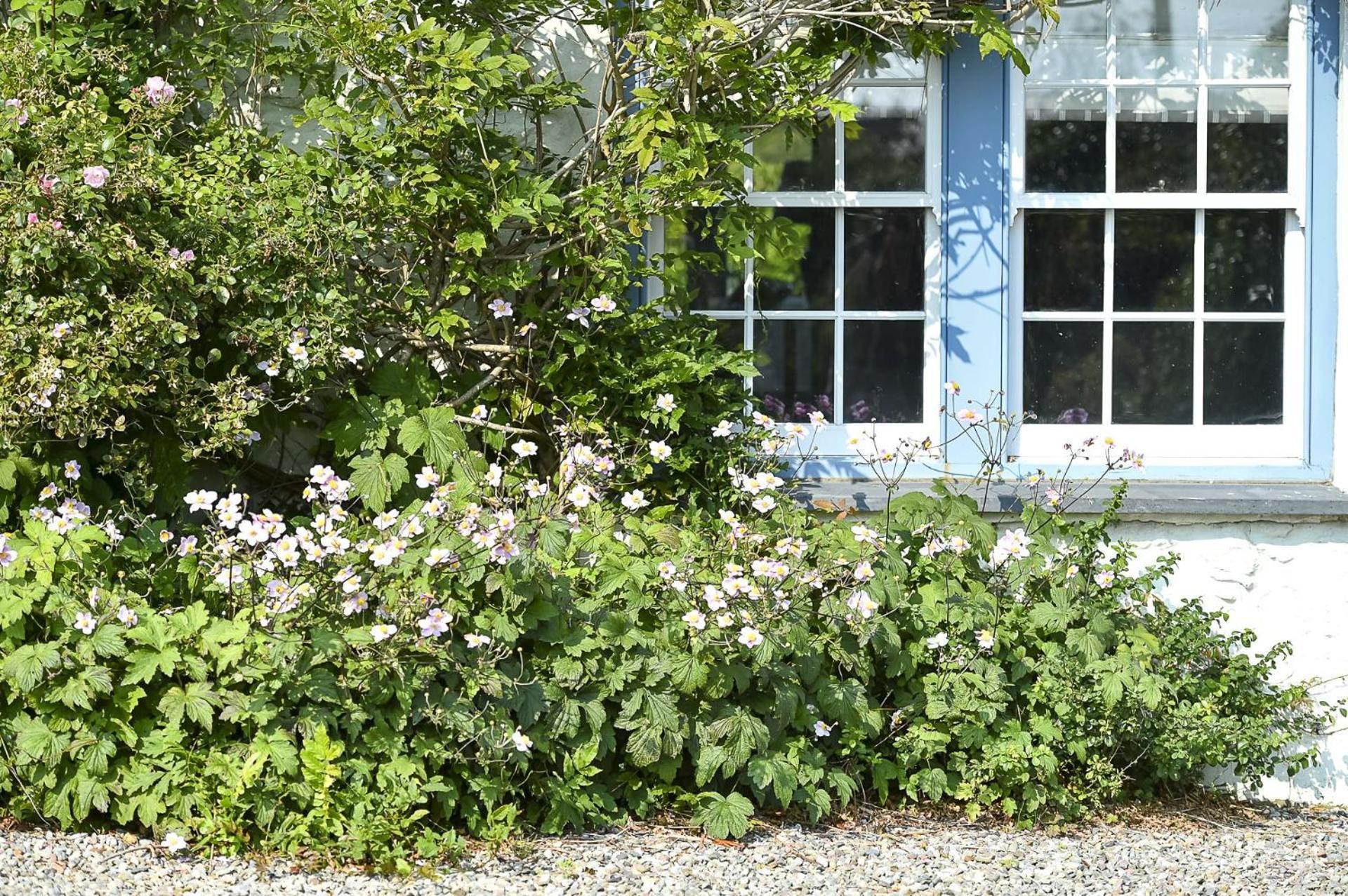 Pen Y Bryn Villa Abersoch Ngoại thất bức ảnh