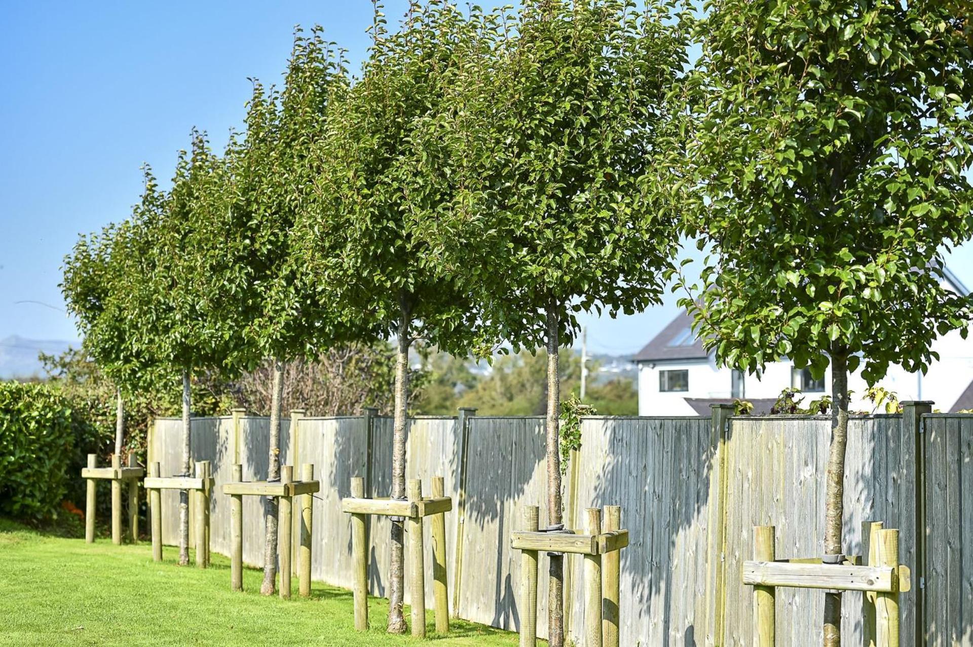Pen Y Bryn Villa Abersoch Ngoại thất bức ảnh